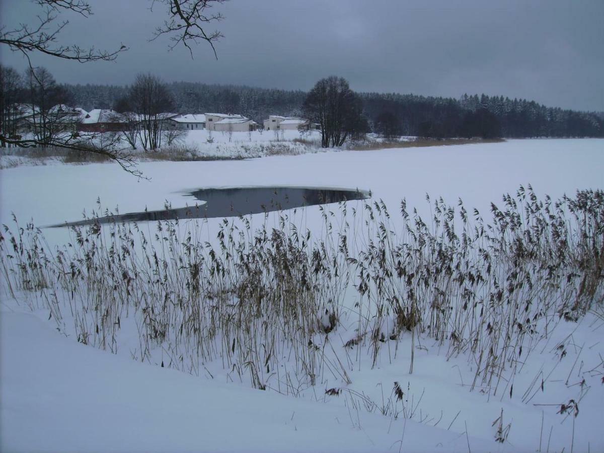Obora 827 Nova Bystrice Villa Kültér fotó