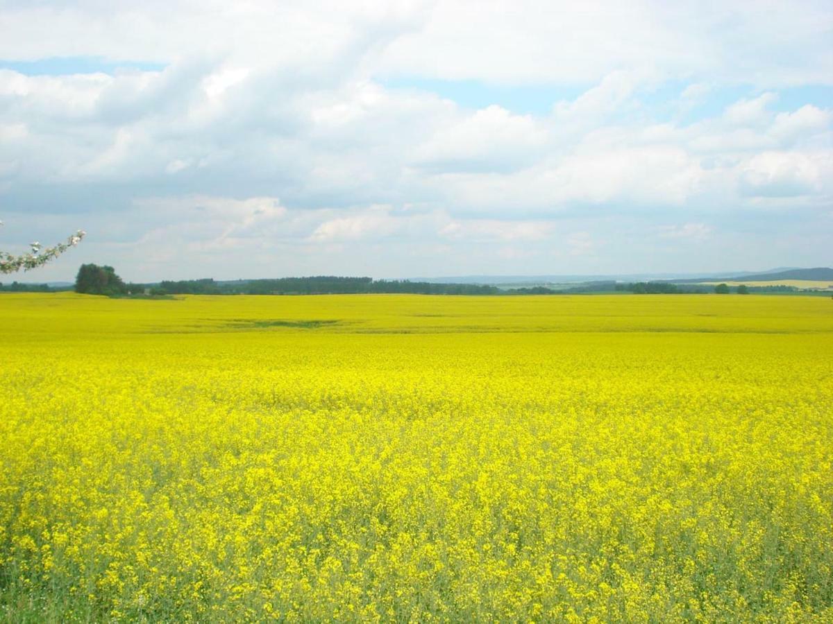 Obora 827 Nova Bystrice Villa Kültér fotó