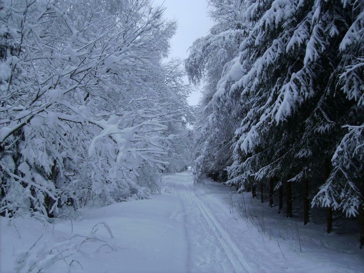 Obora 827 Nova Bystrice Villa Kültér fotó