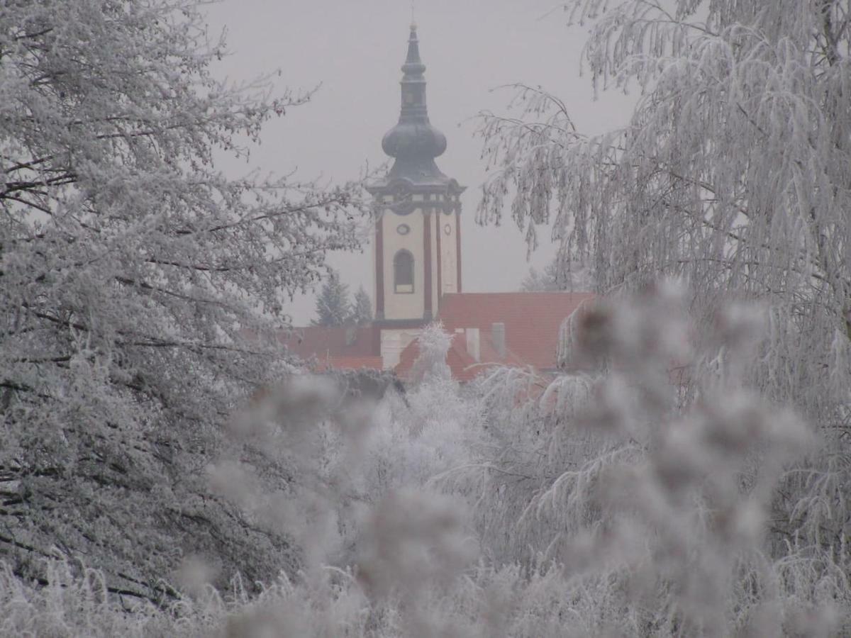 Obora 827 Nova Bystrice Villa Kültér fotó